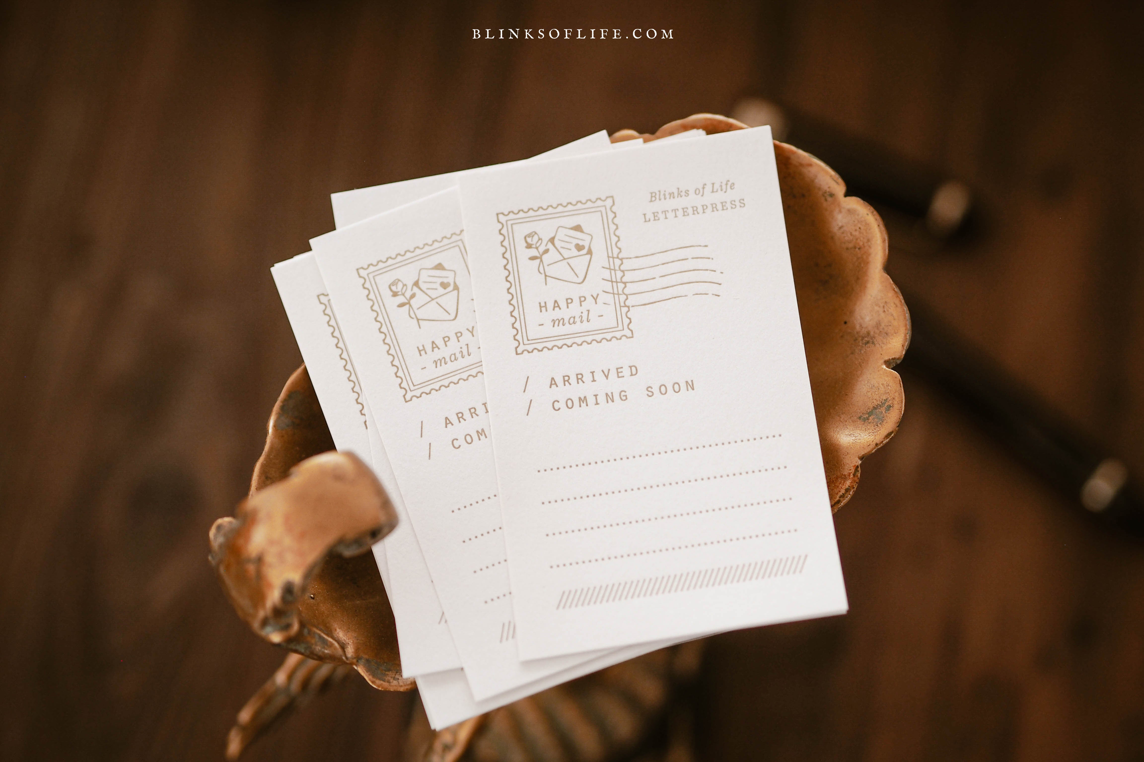 Blinks of Life - Letterpress Journal Cards