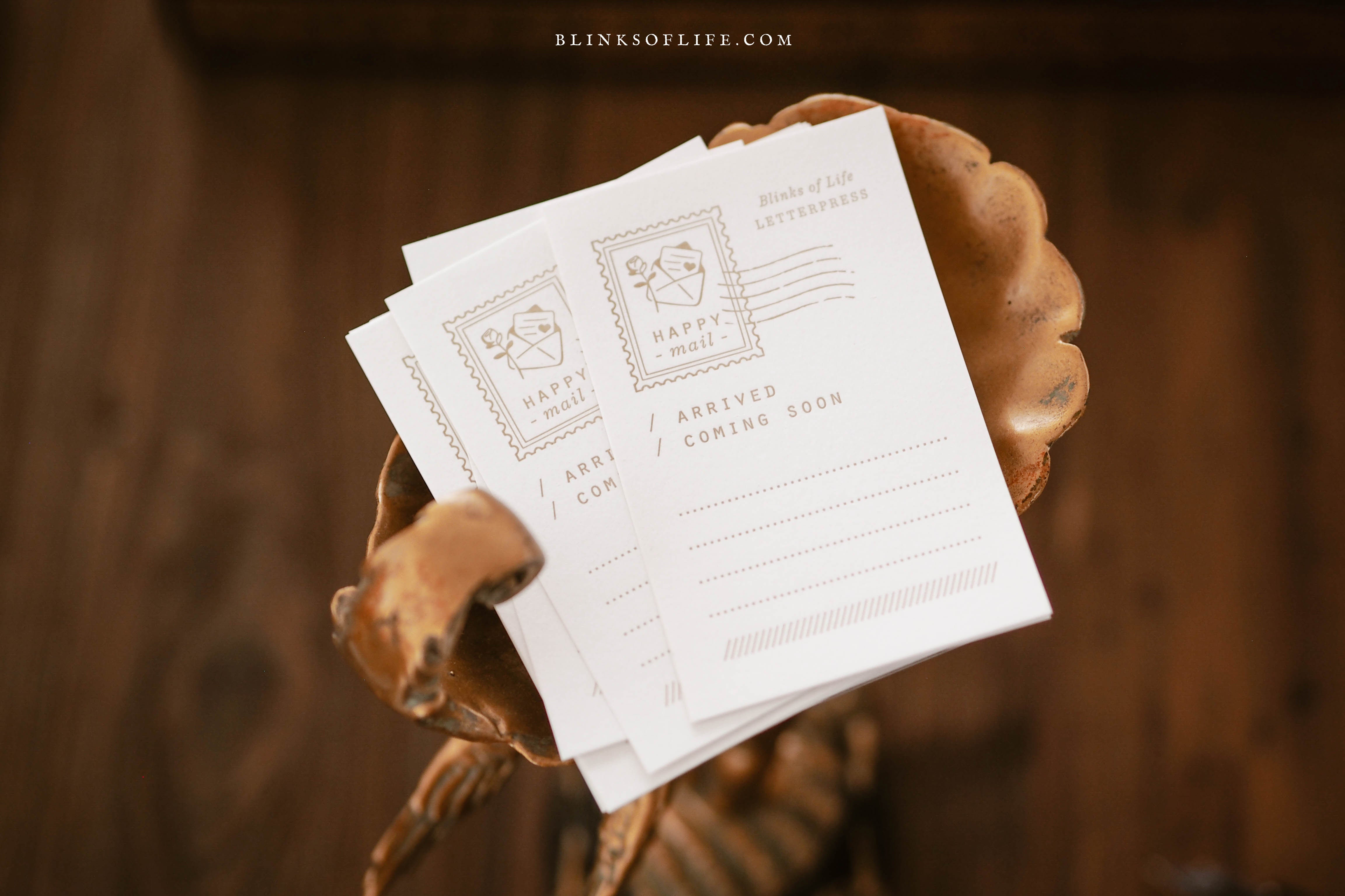 Blinks of Life - Letterpress Journal Cards