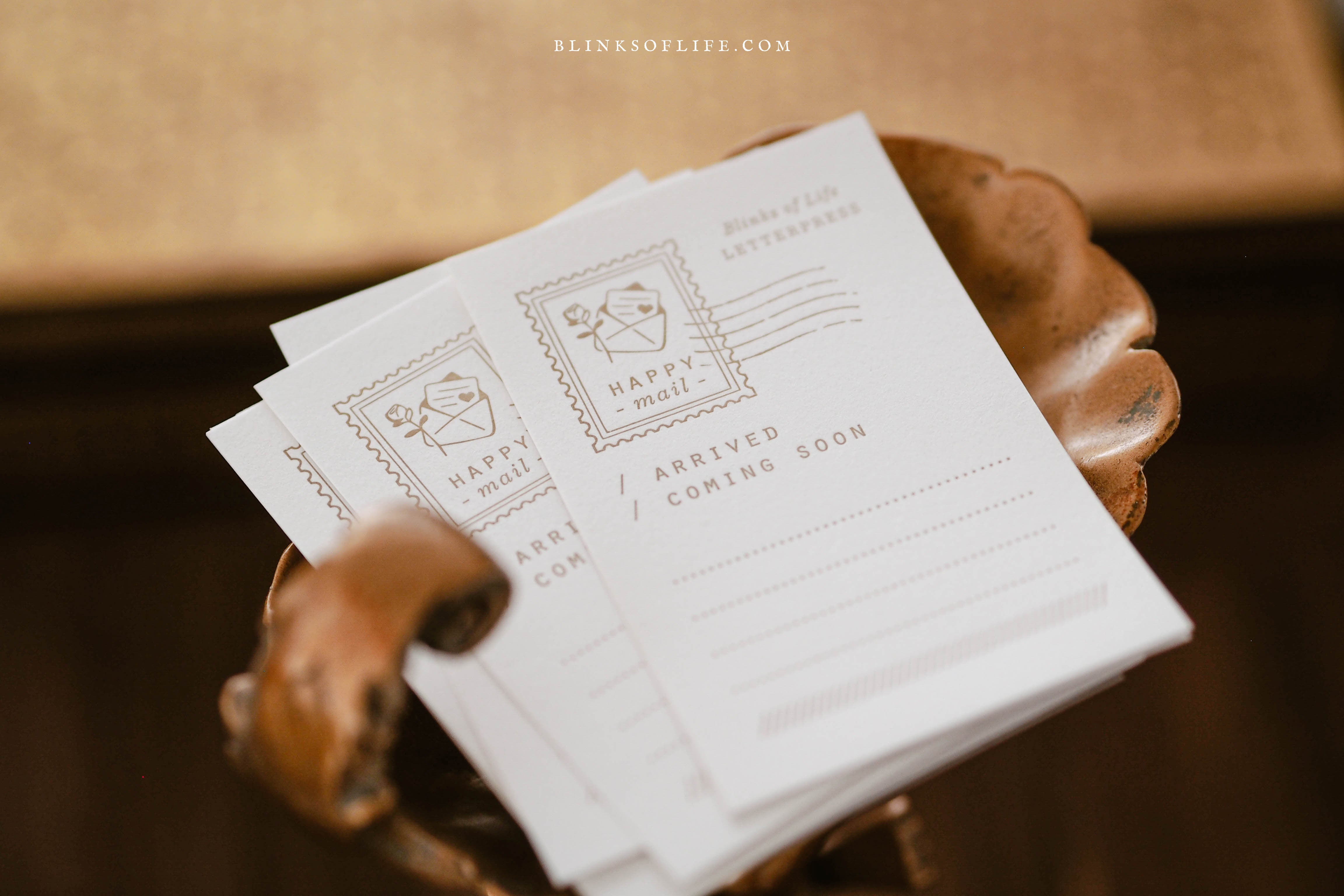 Blinks of Life - Letterpress Journal Cards