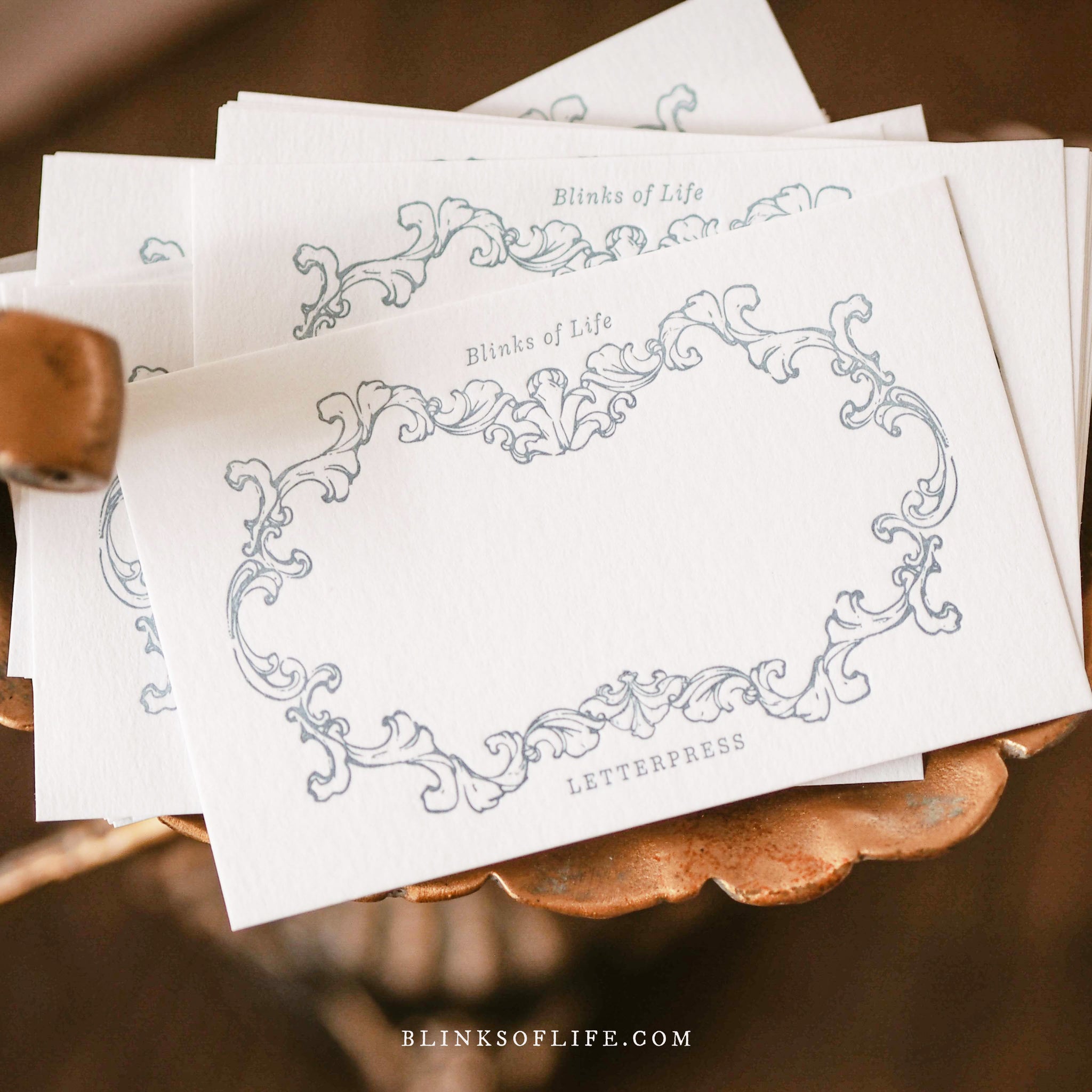 Blinks of Life - Letterpress Journal Cards