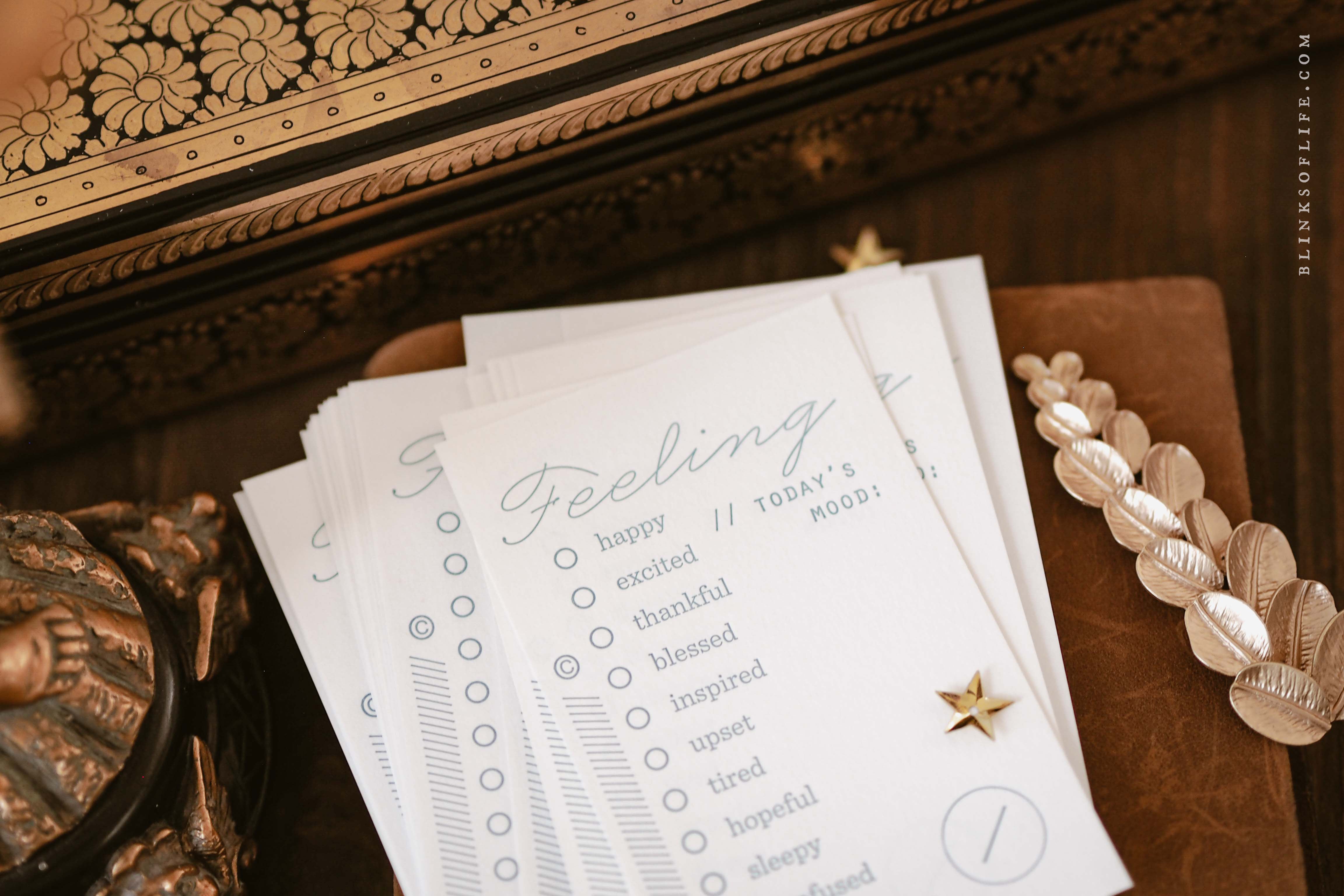 Blinks of Life - Letterpress Journal Cards - Feeling Mood Tracker