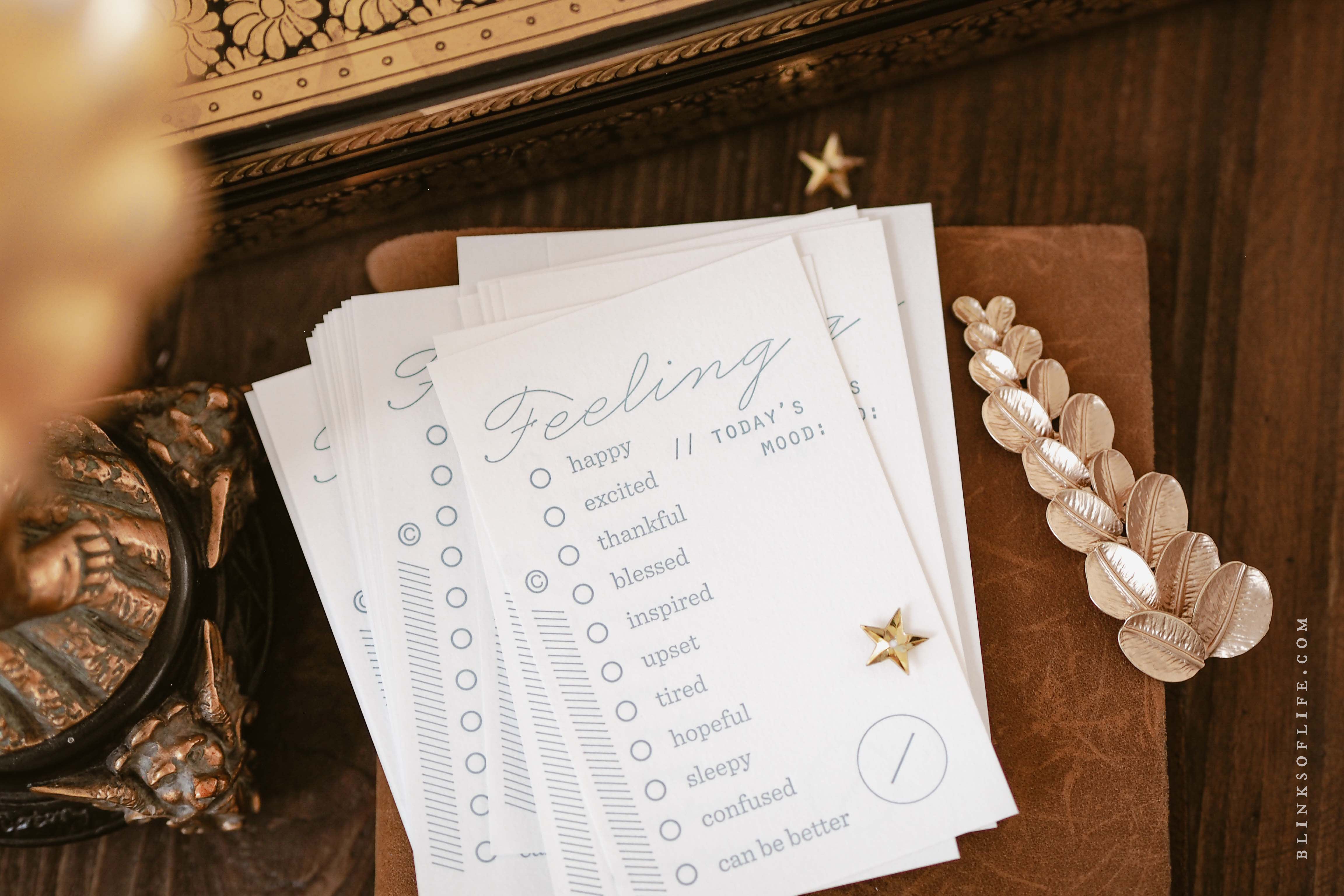 Blinks of Life - Letterpress Journal Cards - Feeling Mood Tracker