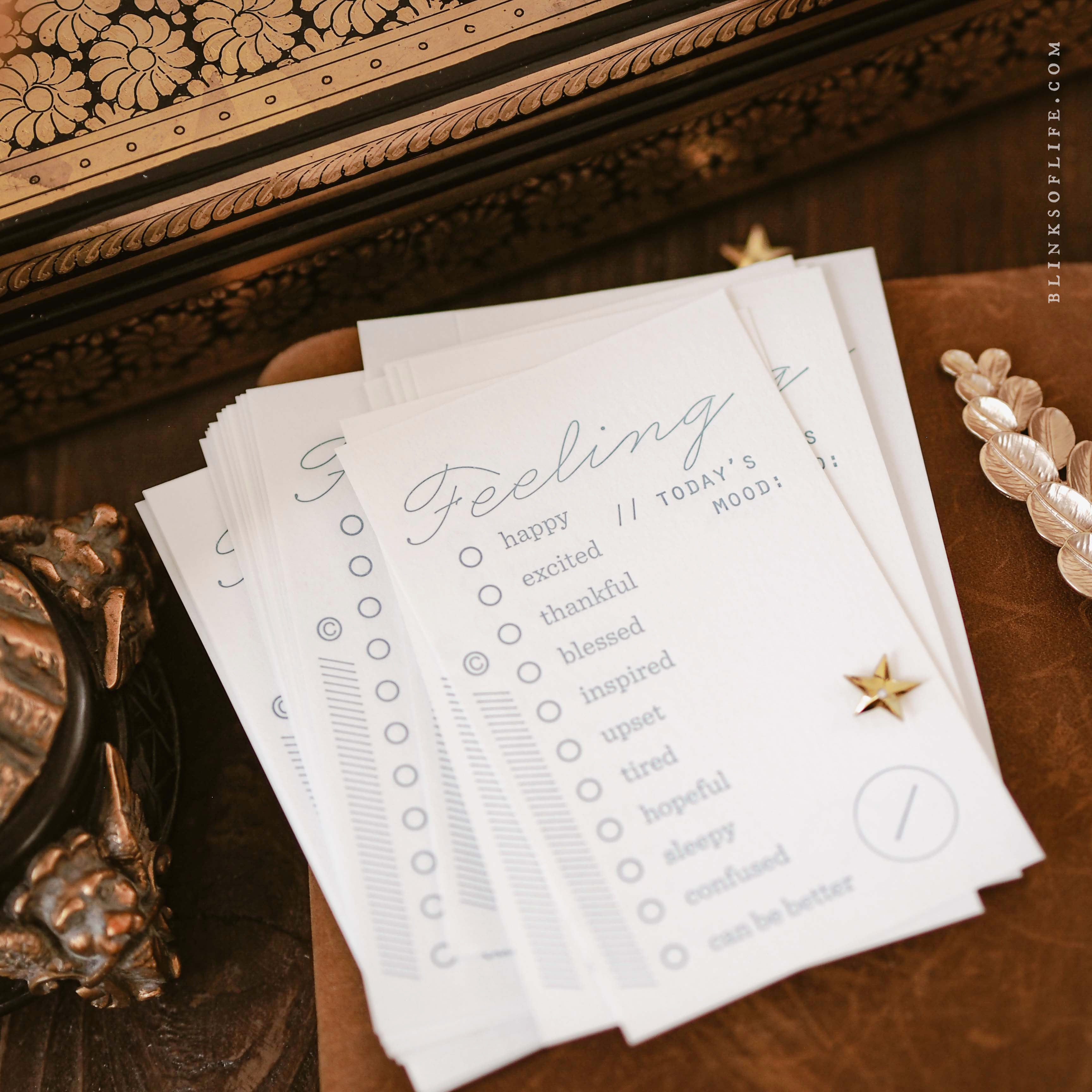 Blinks of Life - Letterpress Journal Cards - Feeling Mood Tracker