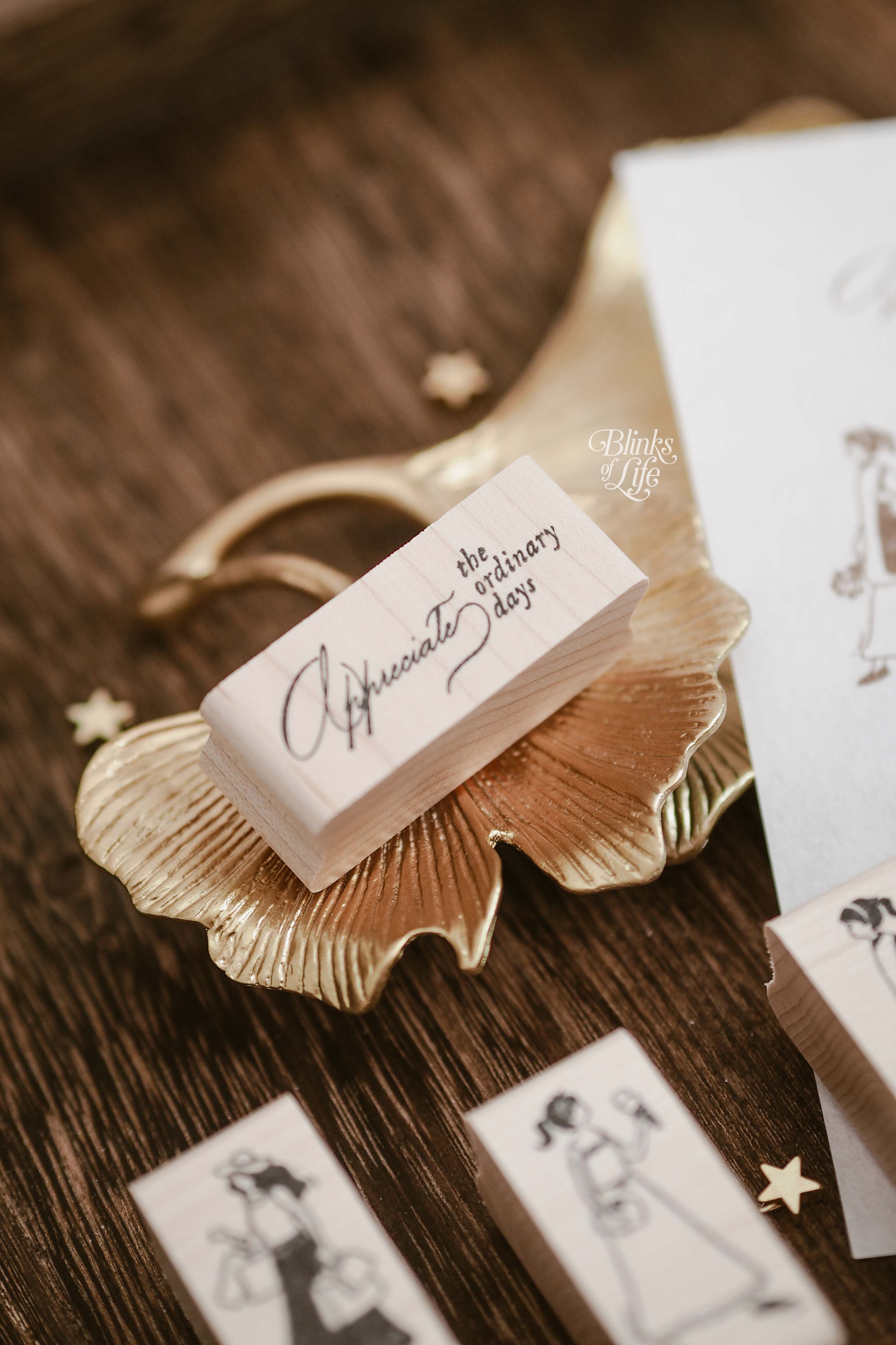 Blinks of Life Rubber Stamp - Appreciate the Ordinary Days