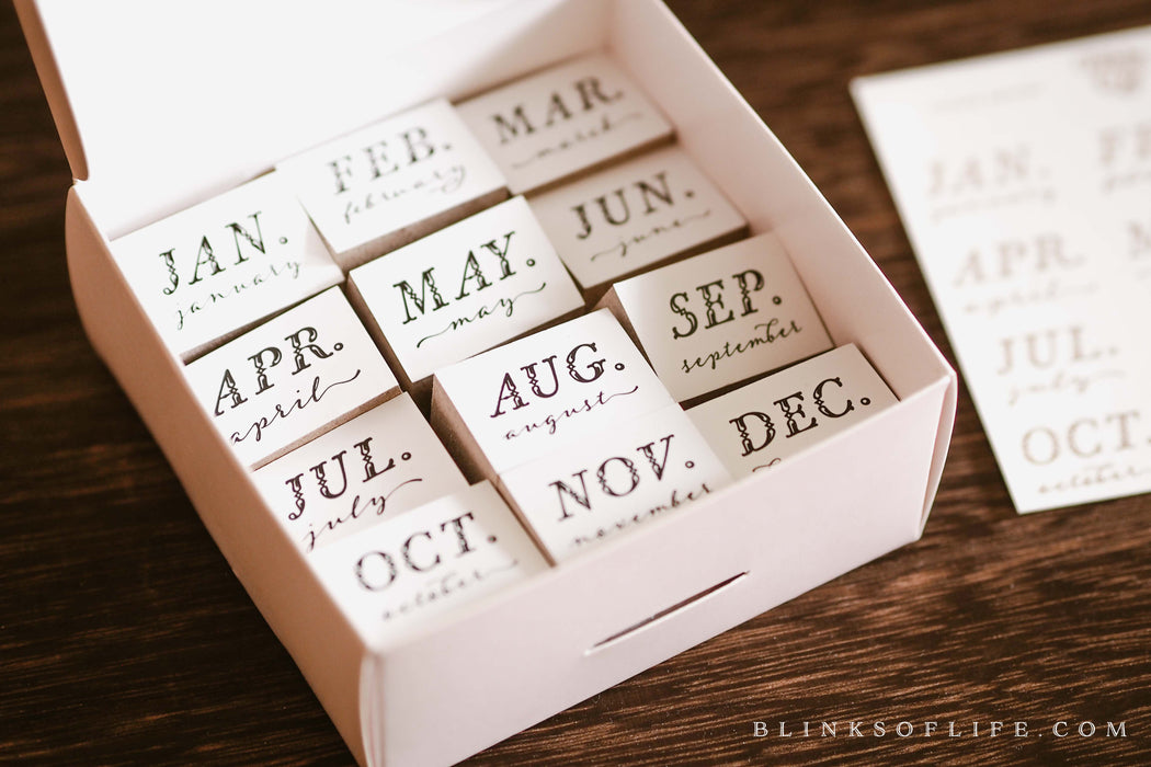 Blinks of Life - 12 Month Stamp Set