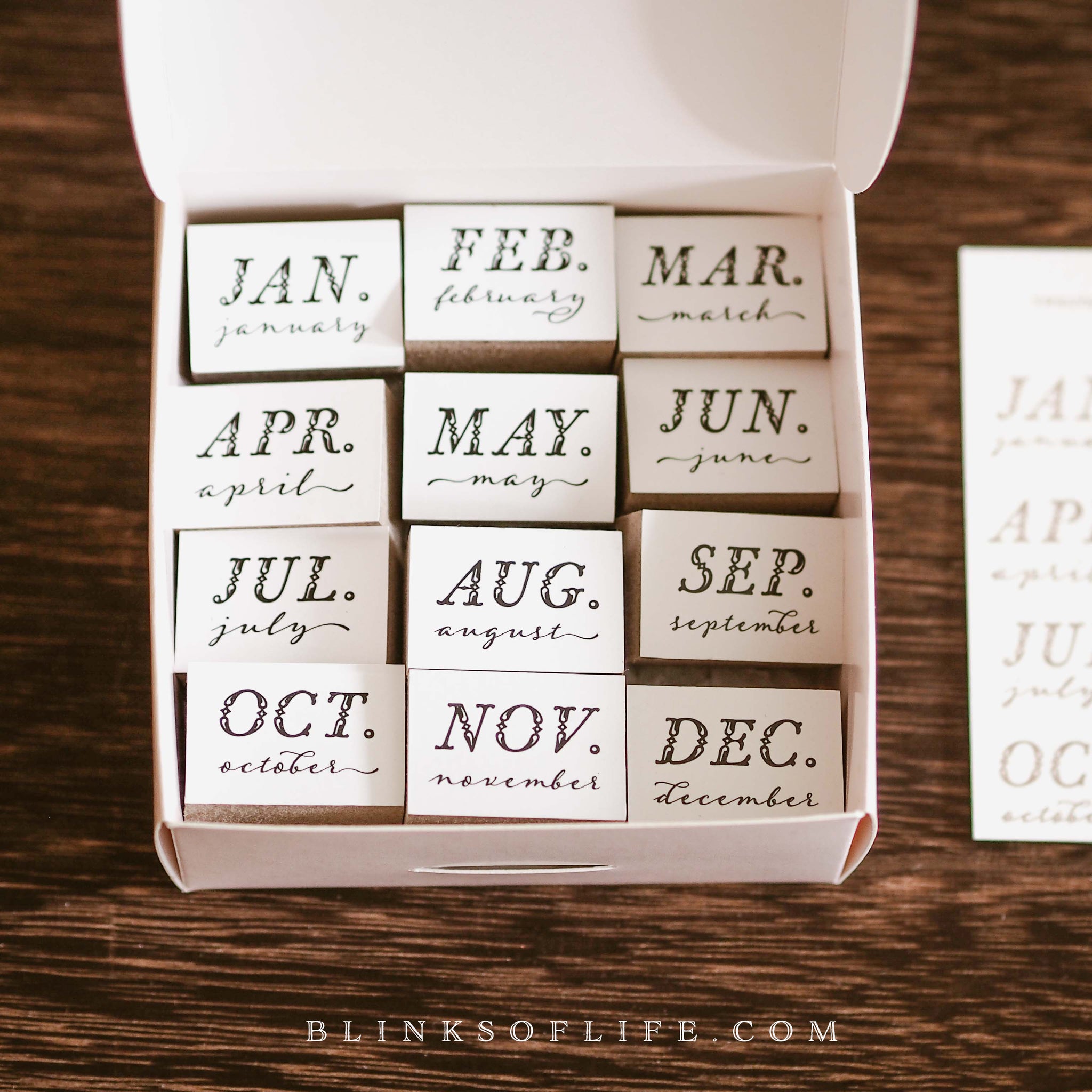 Blinks of Life - 12 Month Stamp Set