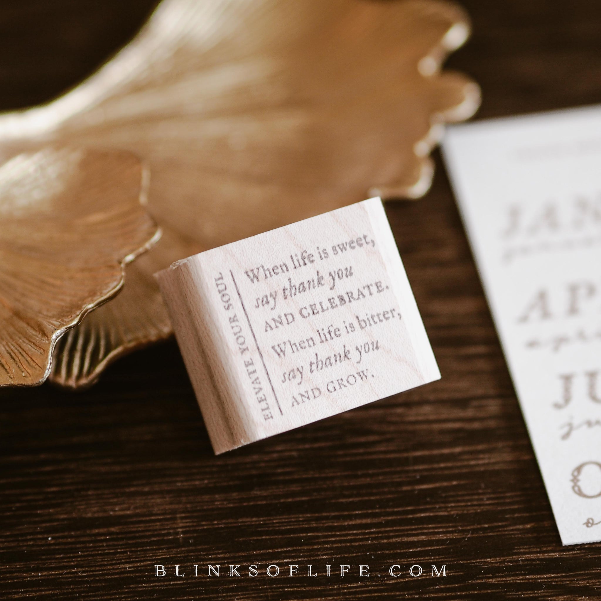 Blinks of Life - Say thank you and Grow - Rubber Wood Stamp