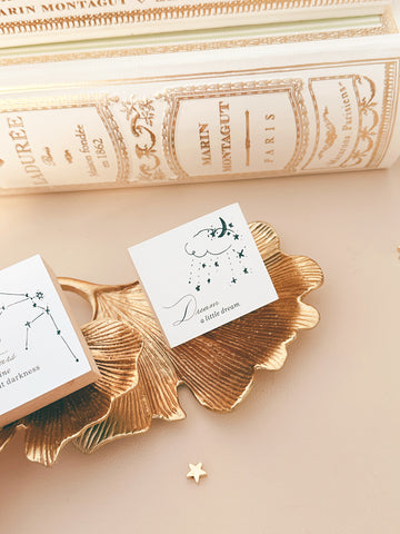 Dream a Little Dream