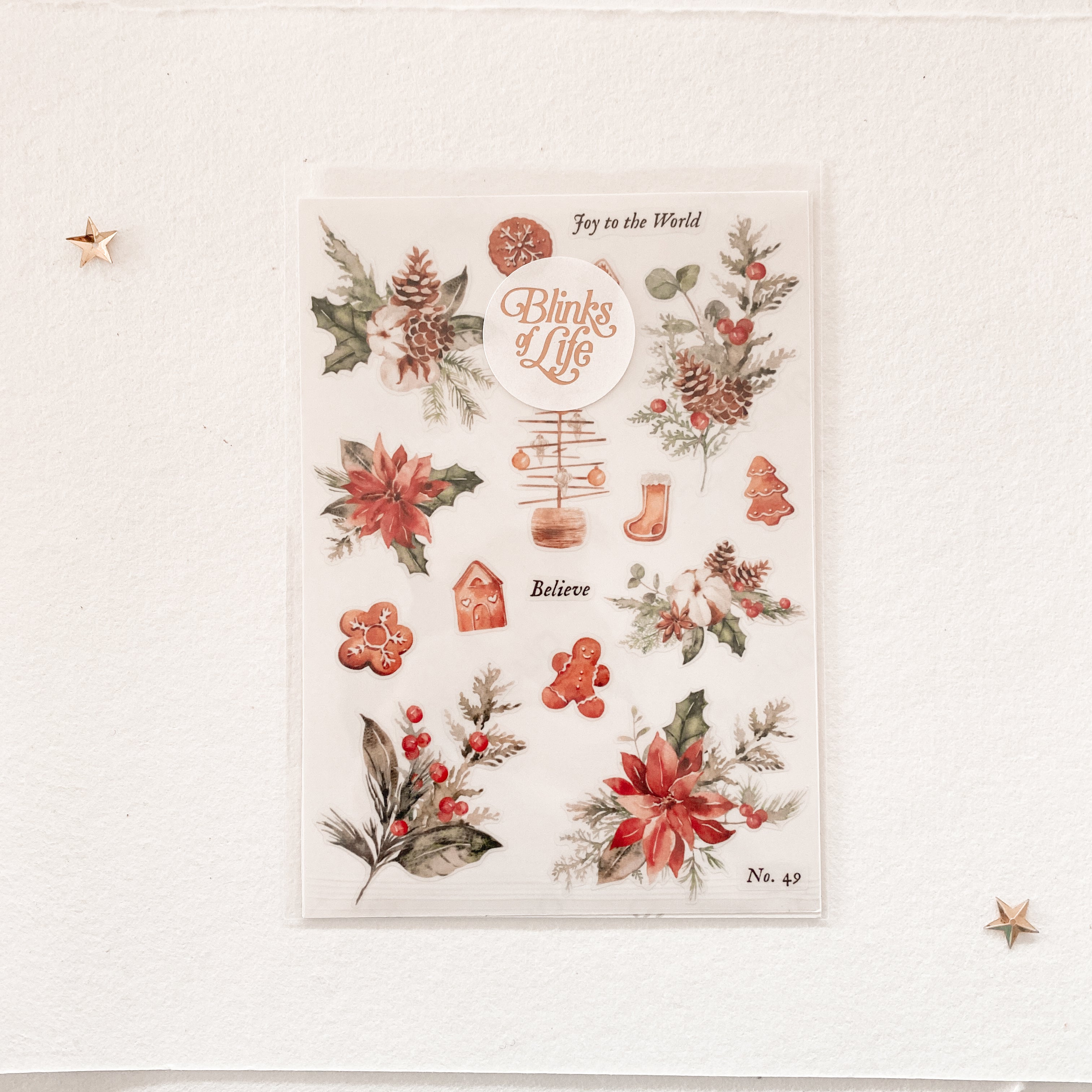 Blinks of Life Transparent Stickers #49