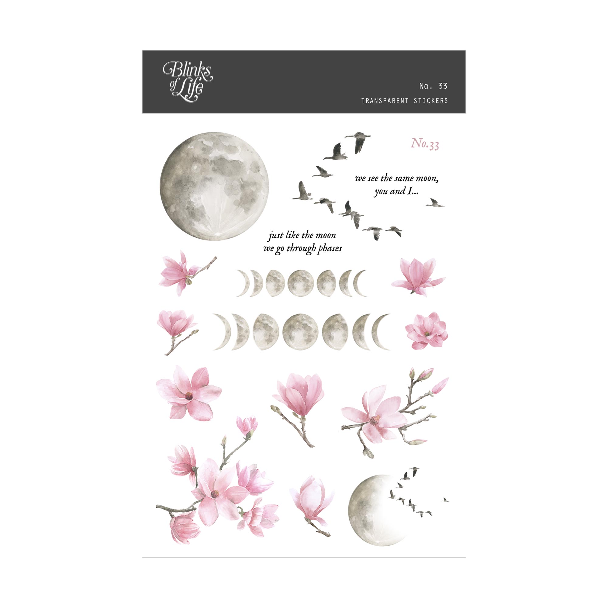 Blinks of Life - Journal Bujo Transparent Stickers