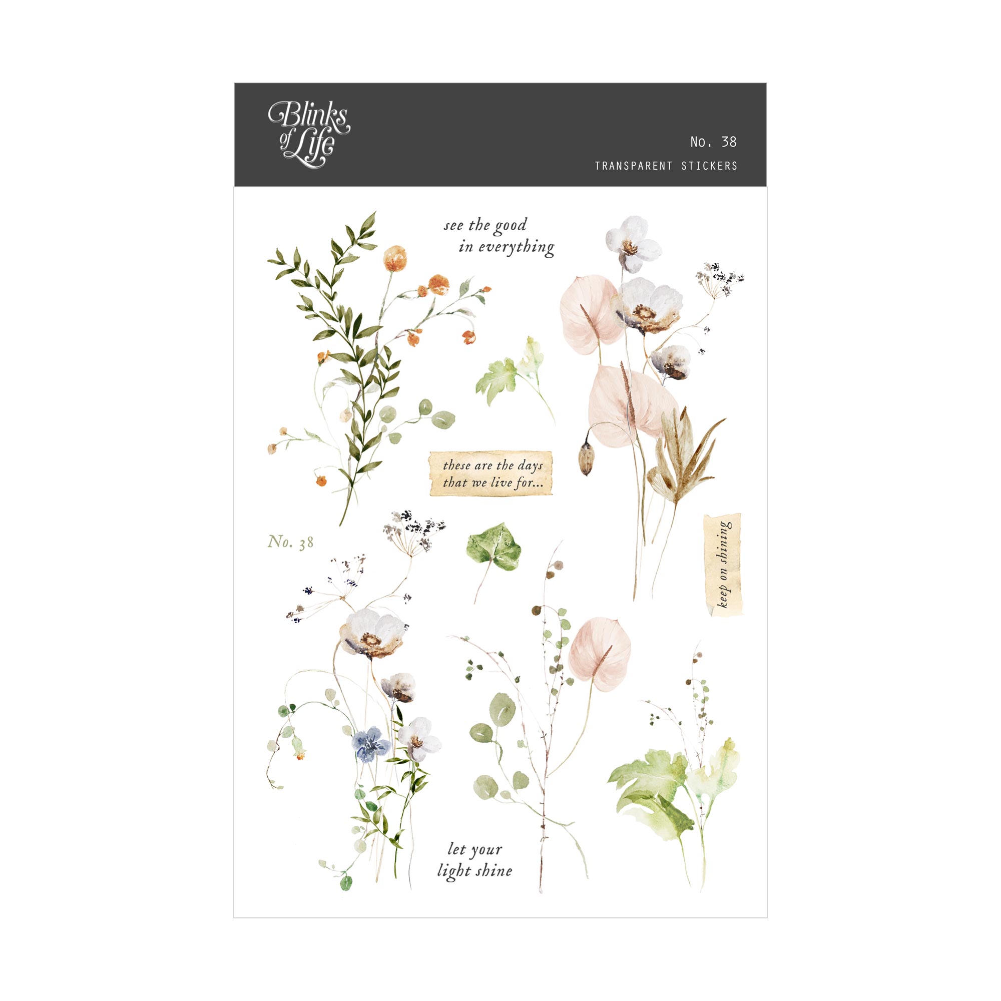 Blinks of Life - Journal Bujo Transparent Stickers