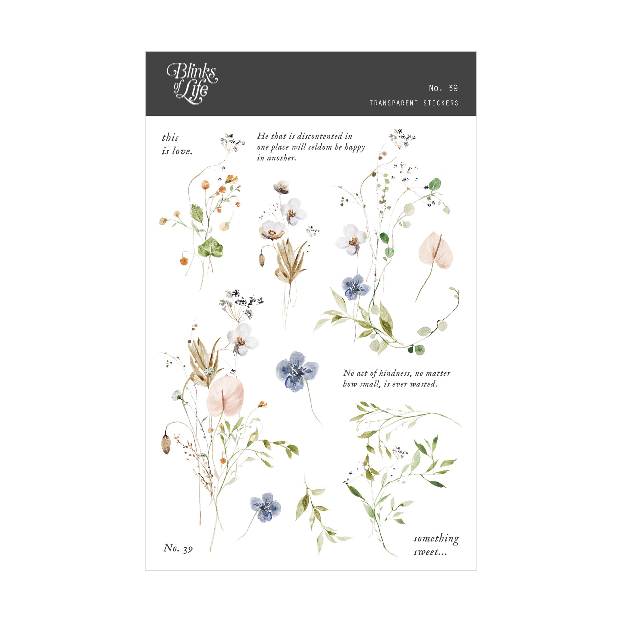 Blinks of Life - Journal Bujo Transparent Stickers