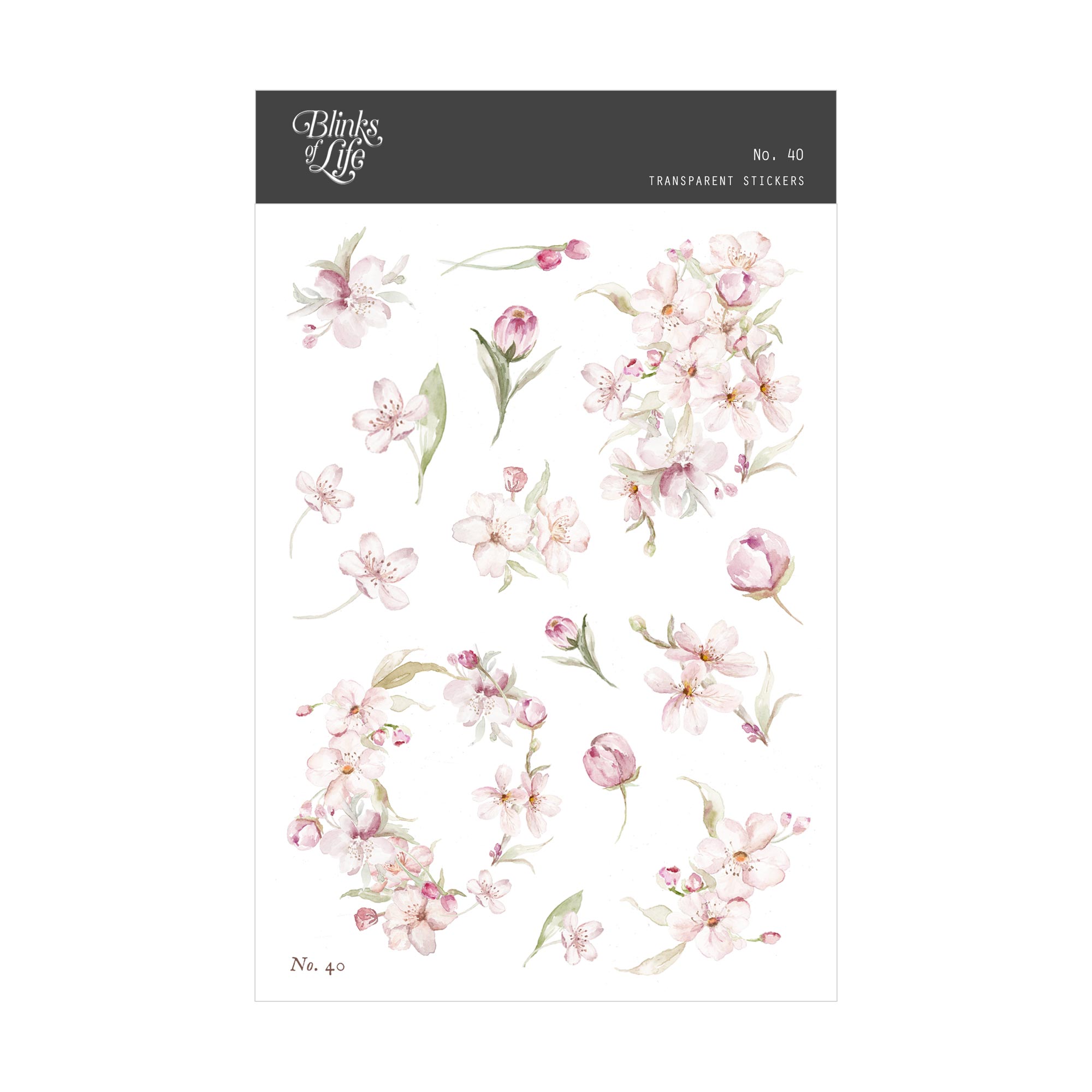 Blinks of Life - Journal Bujo Transparent Stickers