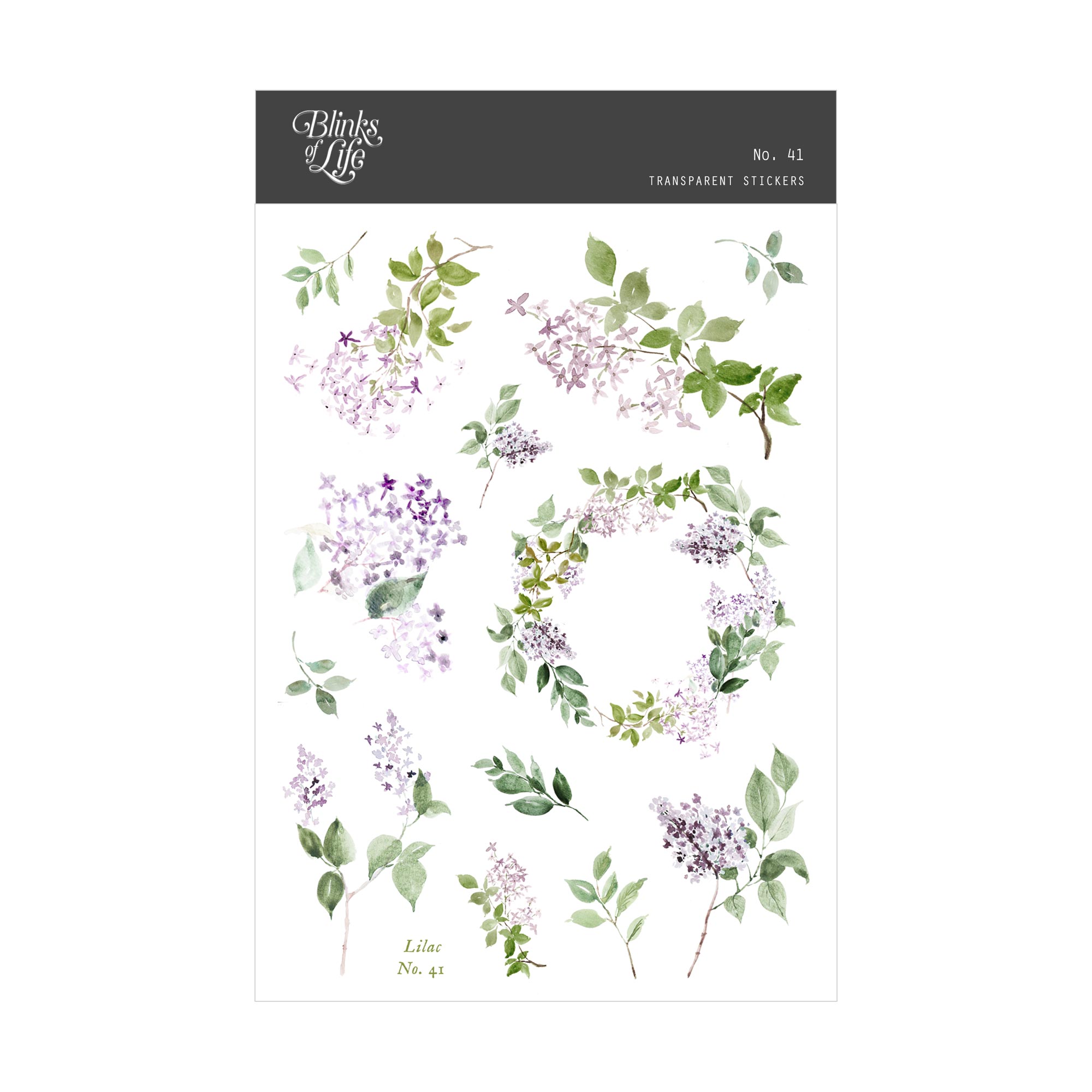 Blinks of Life - Journal Bujo Transparent Stickers