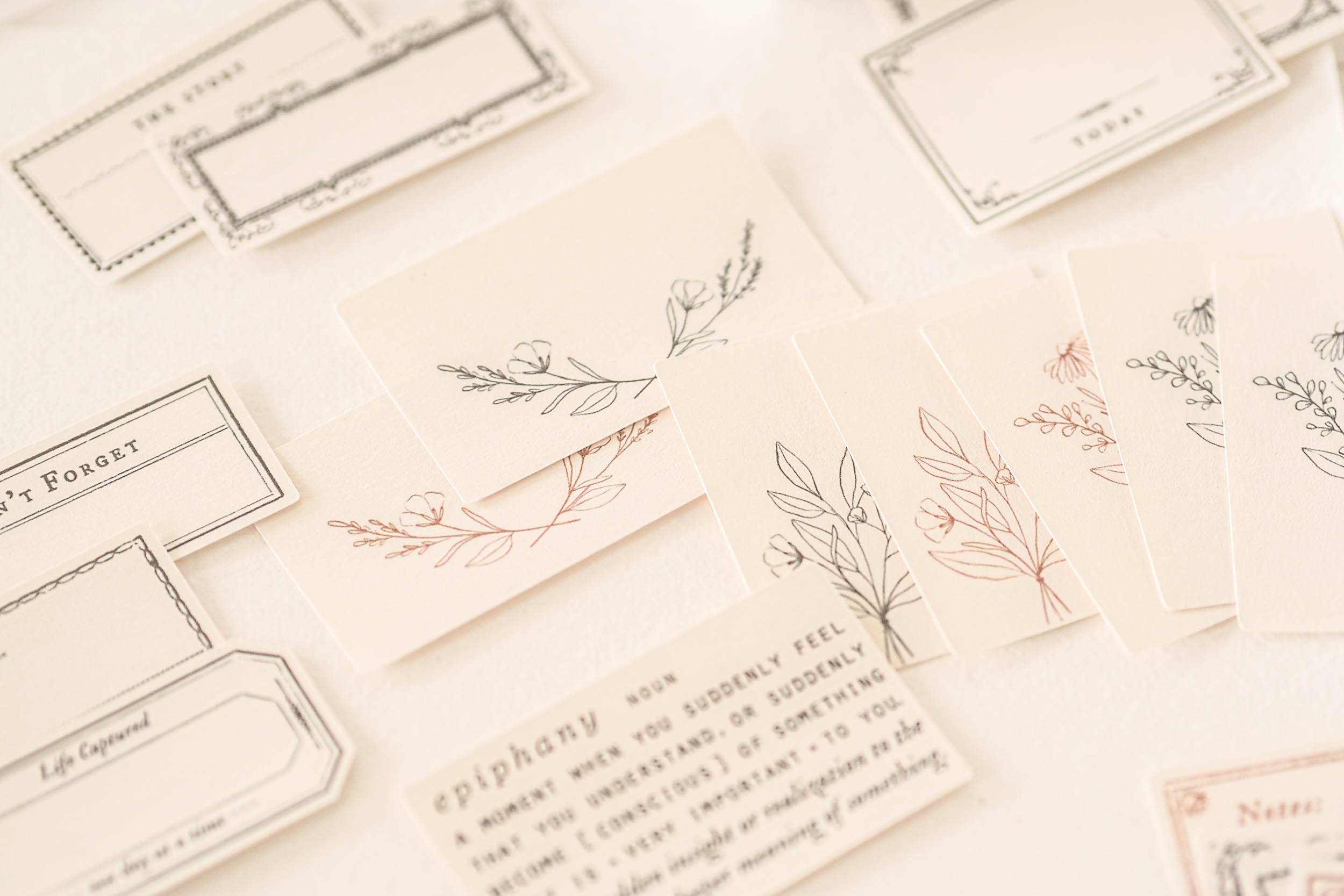 Blinks of Life - Classic Label Box Vol. II - Brown/Ivory Black