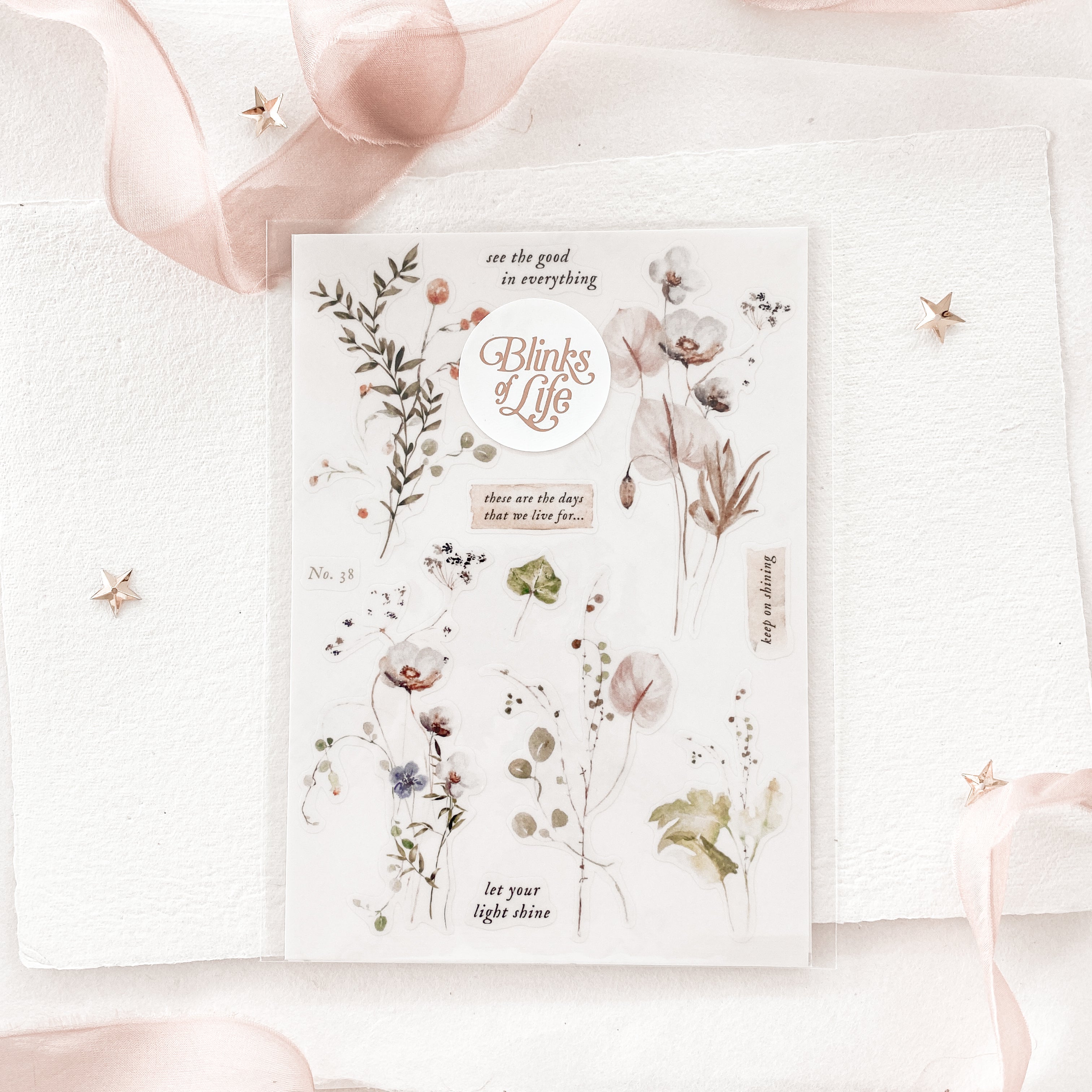 Blinks of Life - Journal Bujo Transparent Stickers