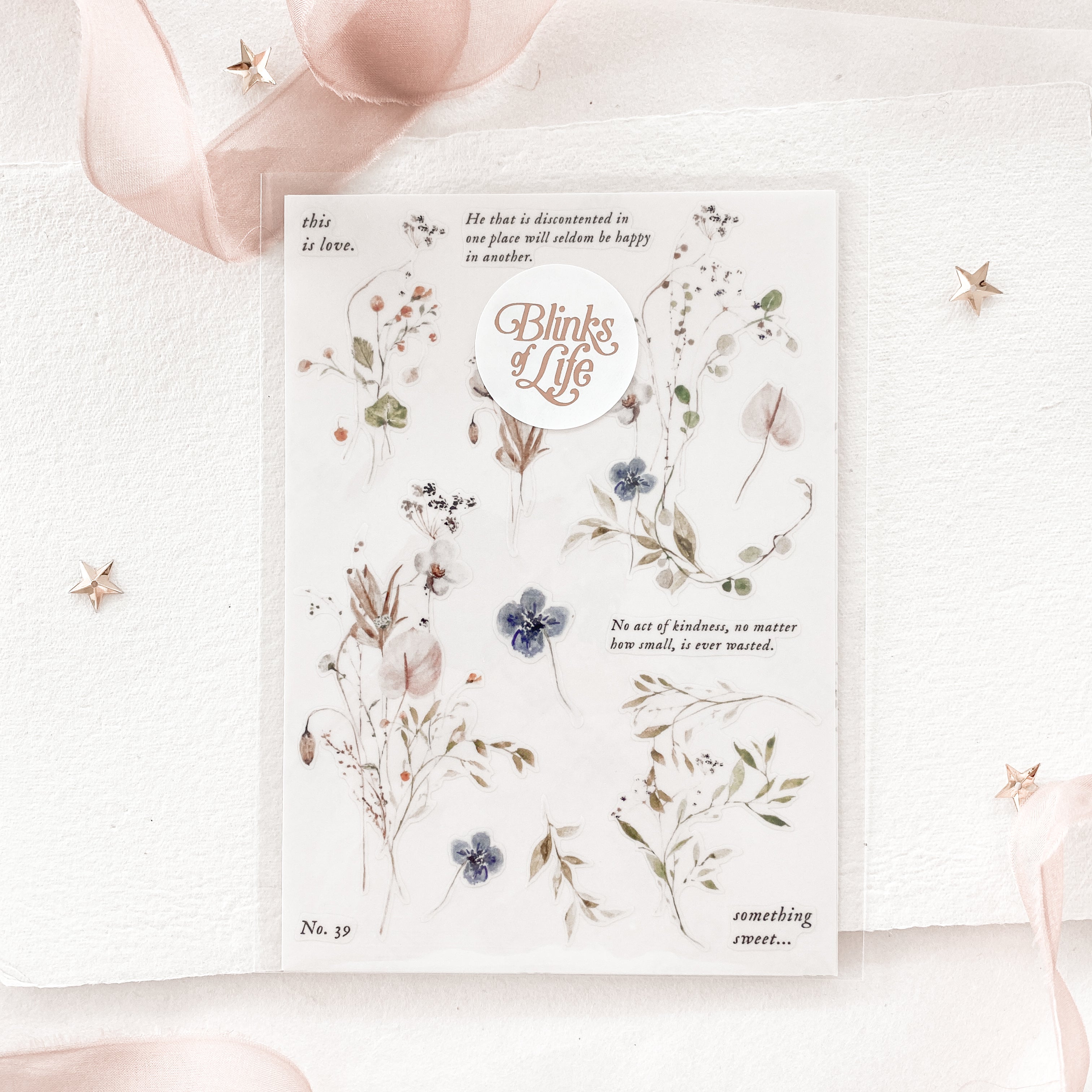 Blinks of Life - Journal Bujo Transparent Stickers