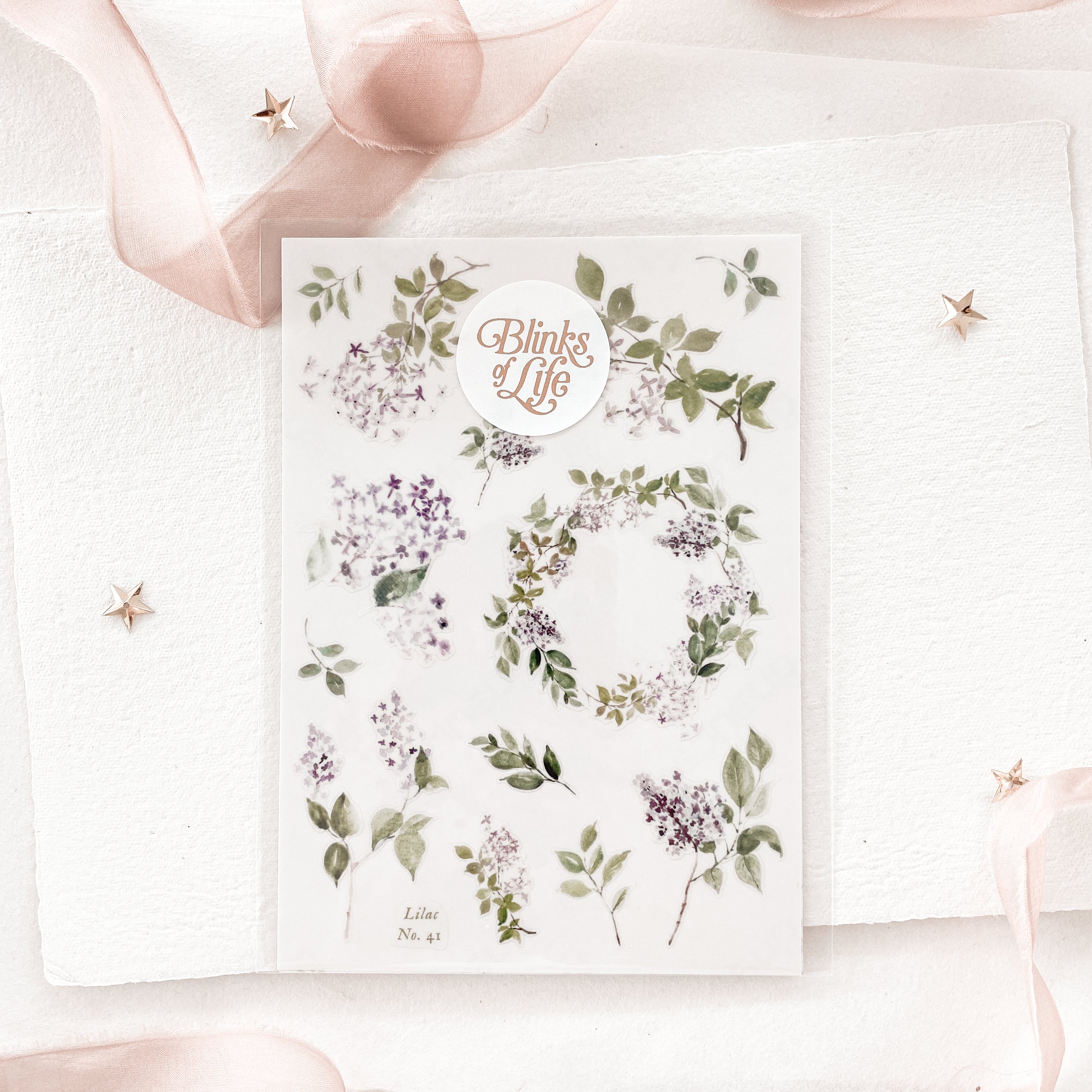 Blinks of Life - Journal Bujo Transparent Stickers