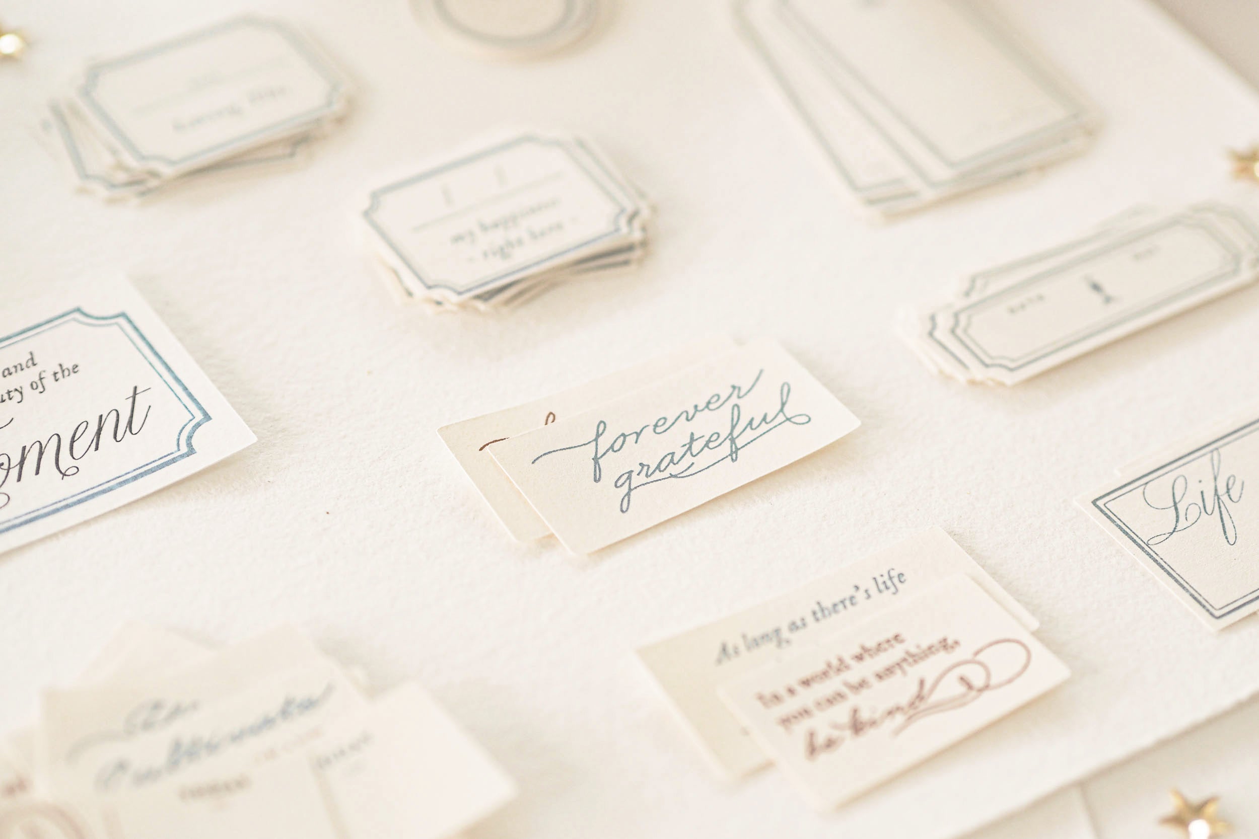 Blinks of Life - Classic Daily Labels - French Blue