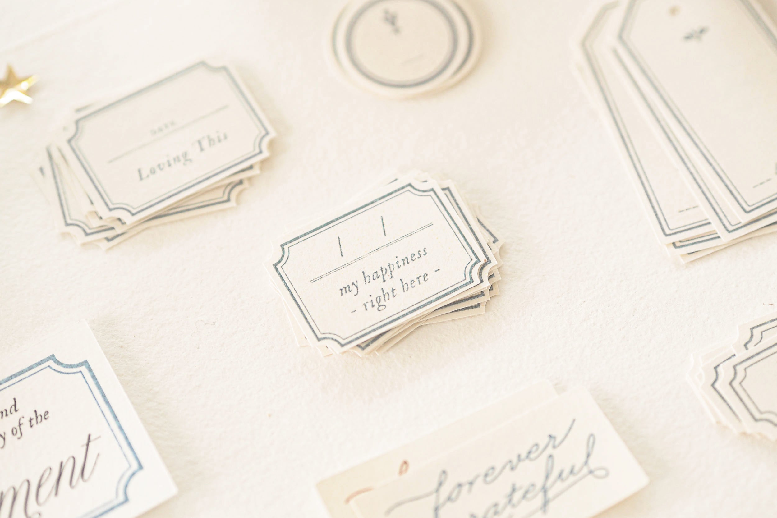 Blinks of Life - Classic Daily Labels - French Blue