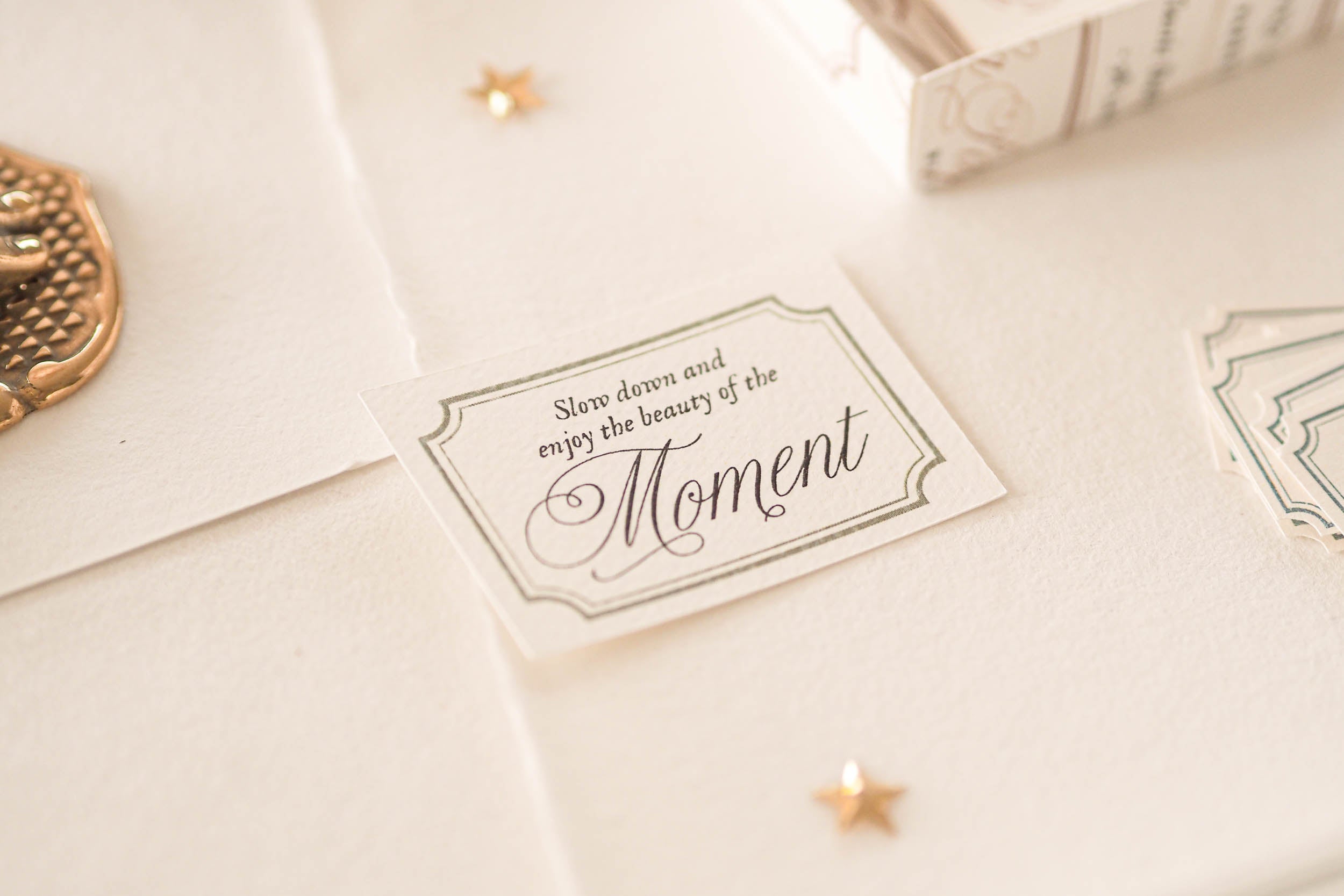 Blinks of Life - Classic Daily Labels - Sage Green