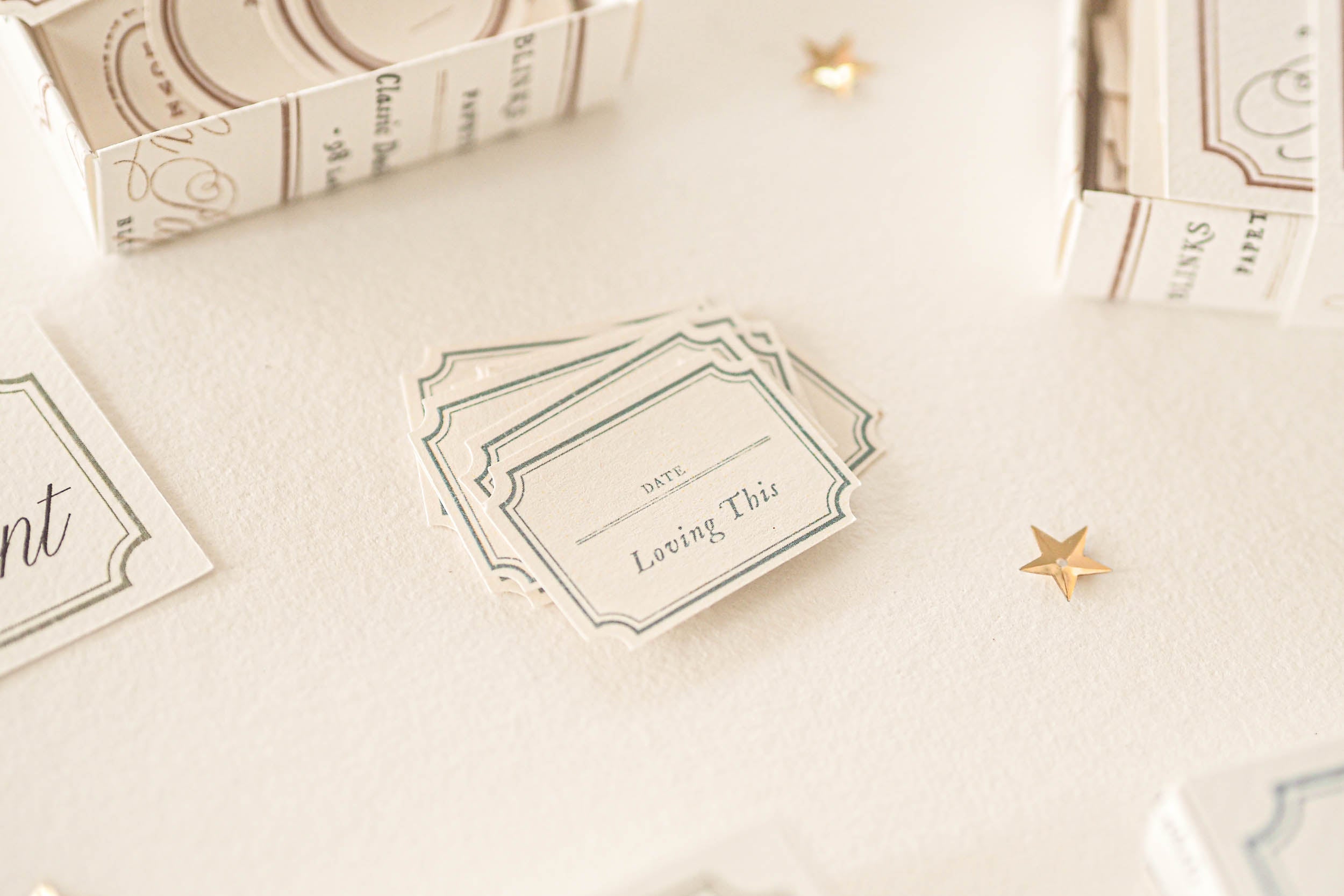 Blinks of Life - Classic Daily Labels - Sage Green