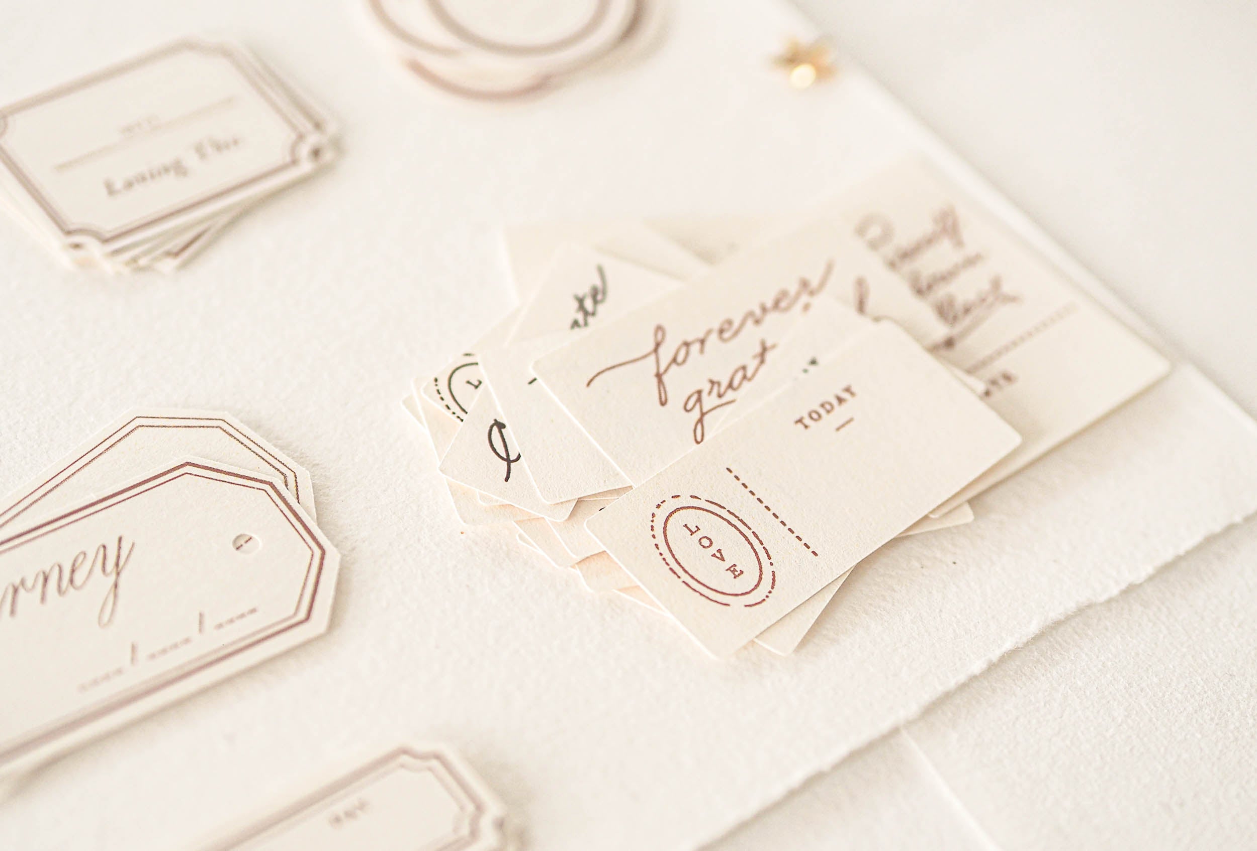 Blinks of Life - Classic Daily Labels - Classic Brown