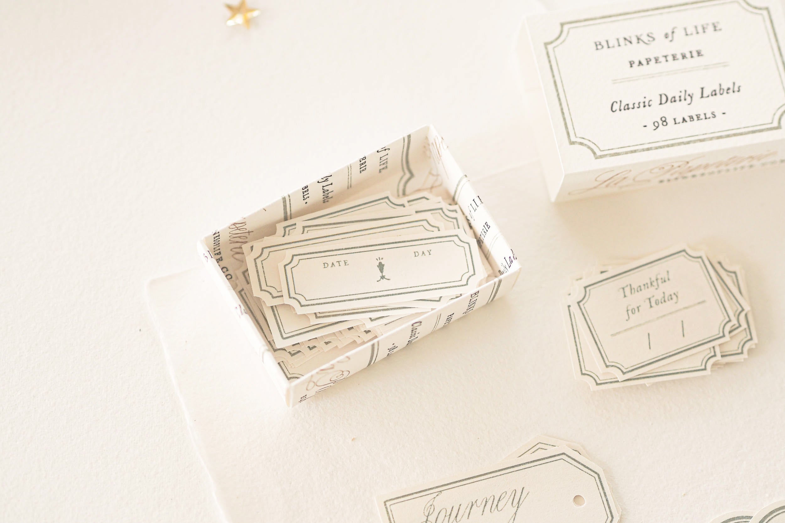 Blinks of Life - Classic Daily Labels - Sage Green