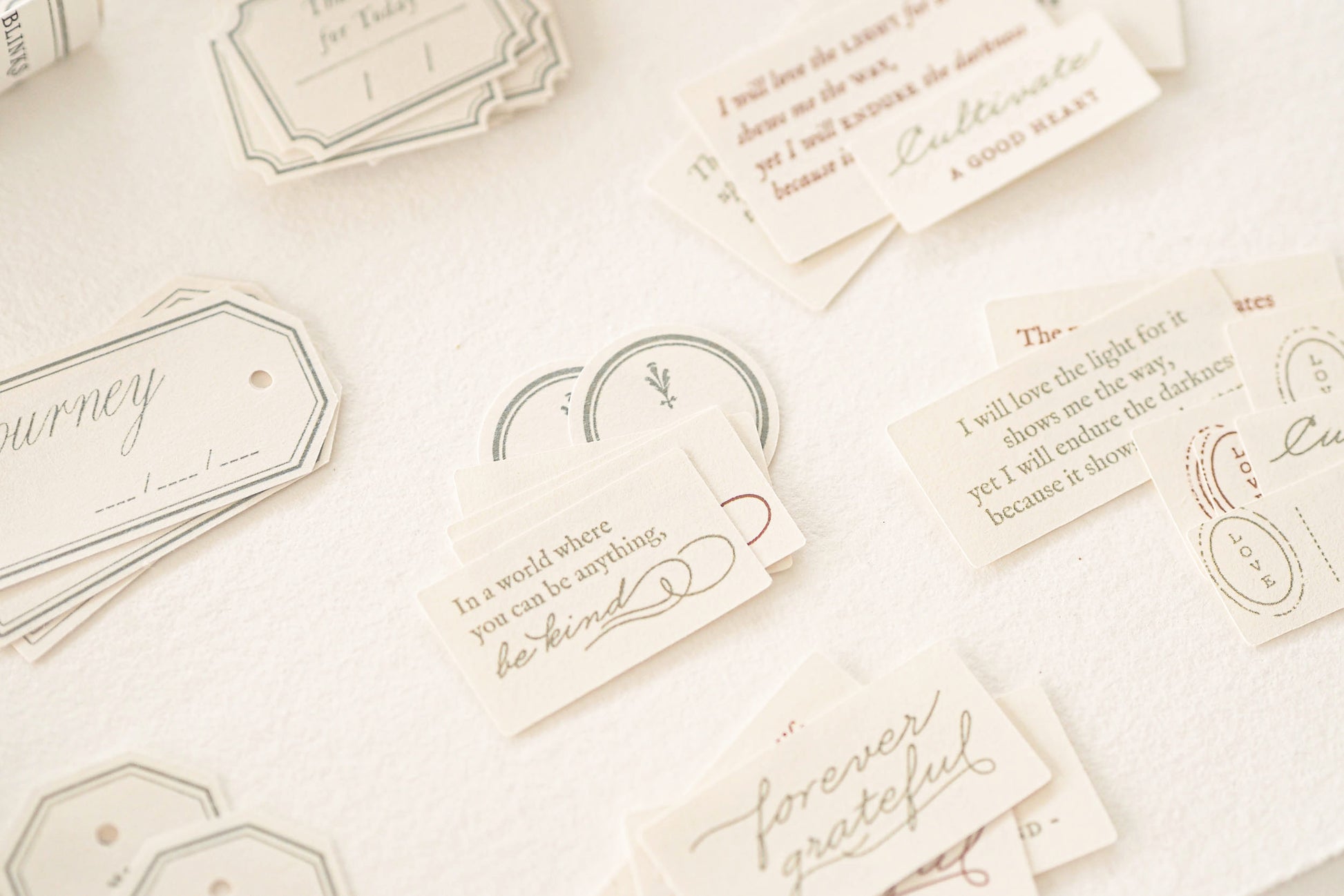 Blinks of Life - Classic Daily Labels - Sage Green