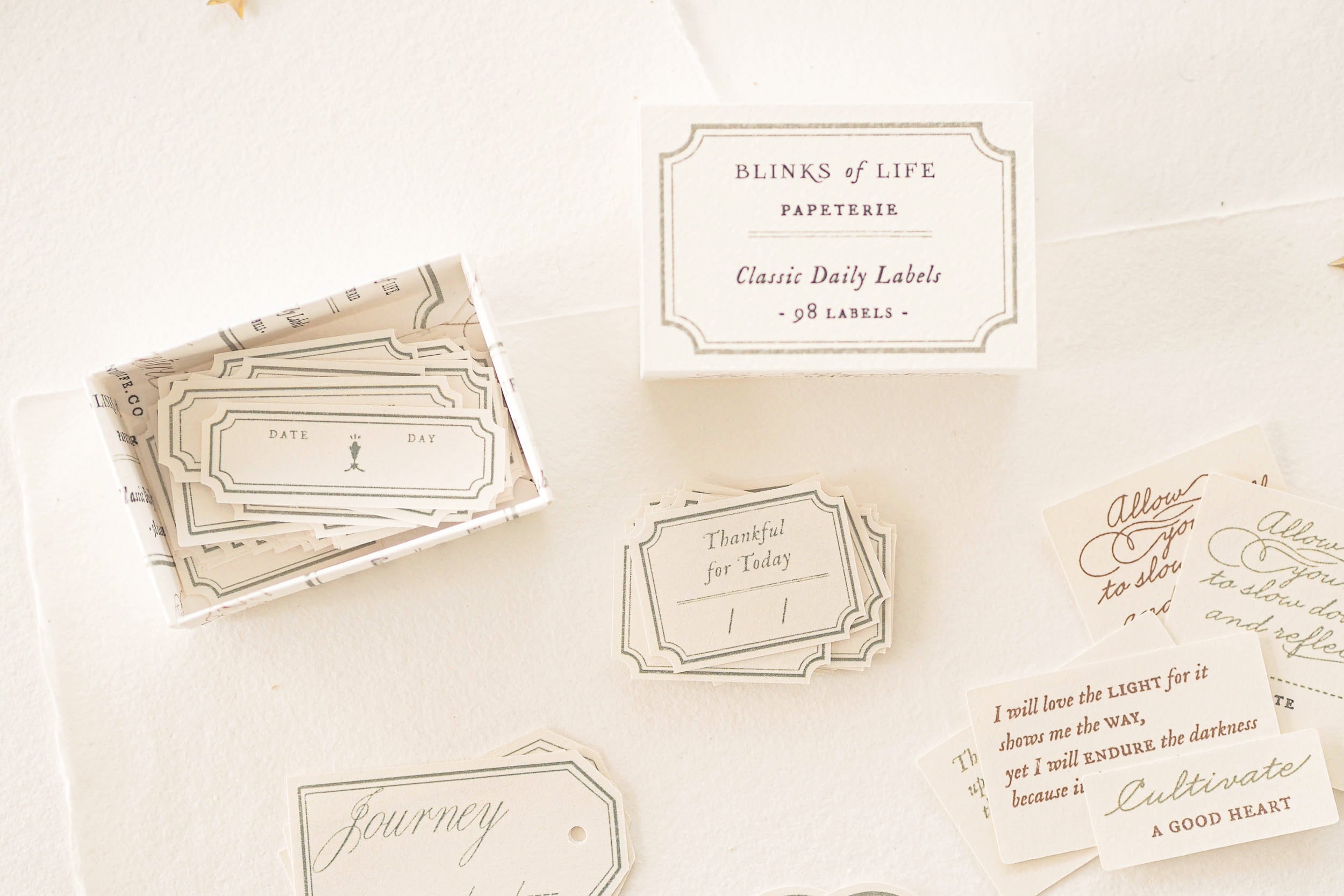 Blinks of Life - Classic Daily Labels - Sage Green
