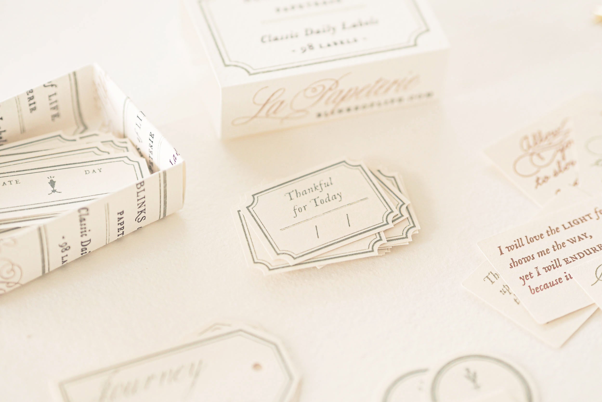 Blinks of Life - Classic Daily Labels - Sage Green