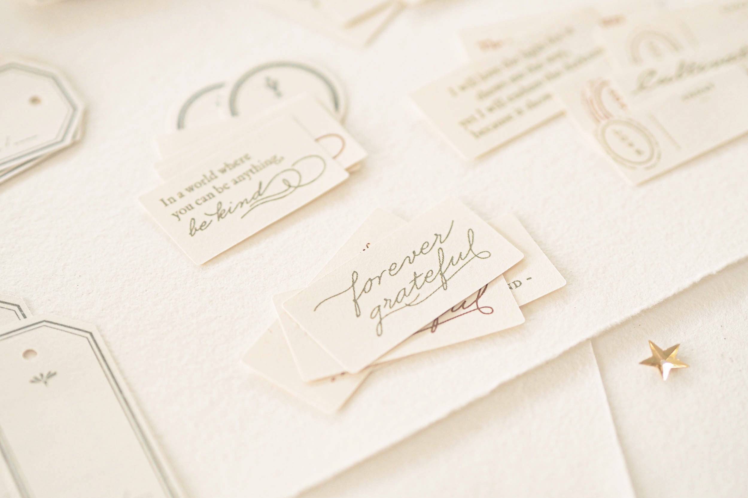 Blinks of Life - Classic Daily Labels - Sage Green