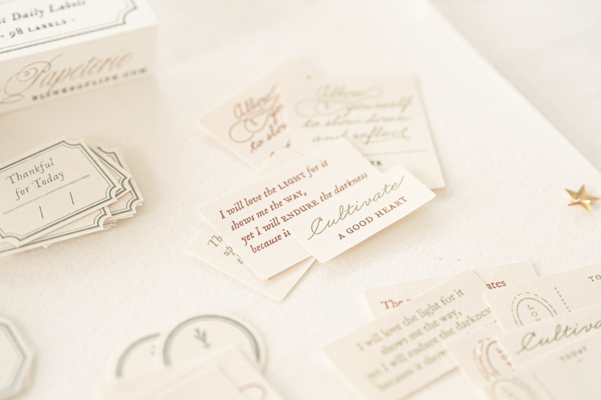 Blinks of Life - Classic Daily Labels - Sage Green