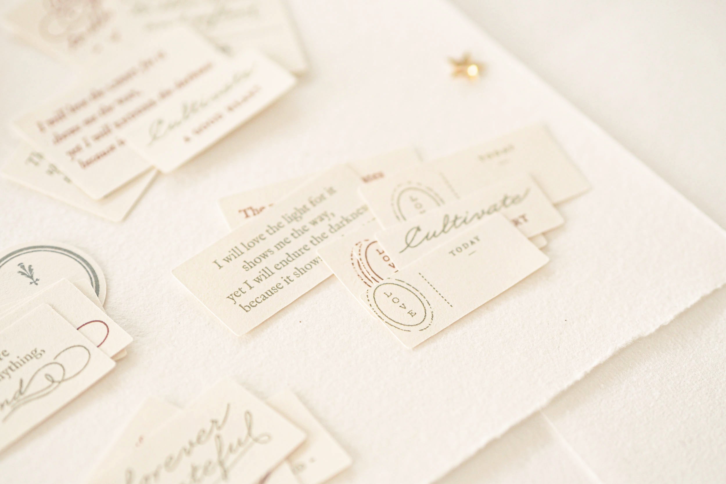 Blinks of Life - Classic Daily Labels - Sage Green