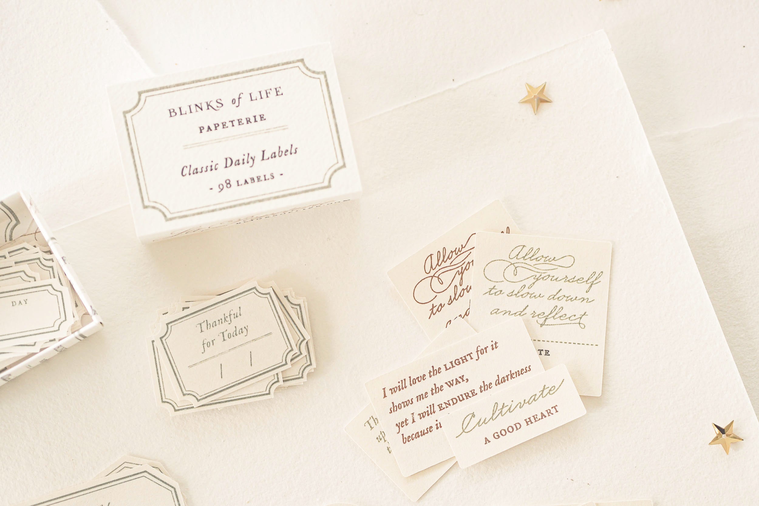 Blinks of Life - Classic Daily Labels - Sage Green