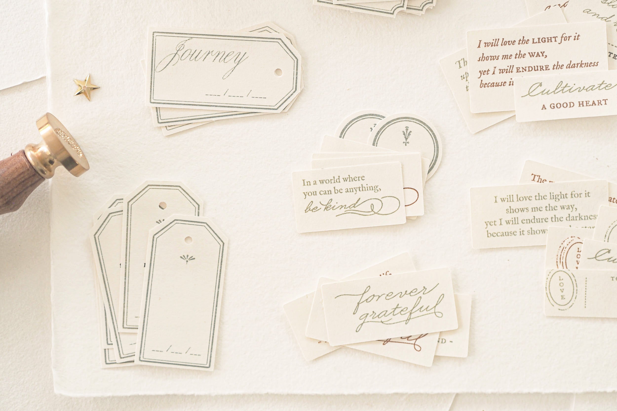 Blinks of Life - Classic Daily Labels - Sage Green