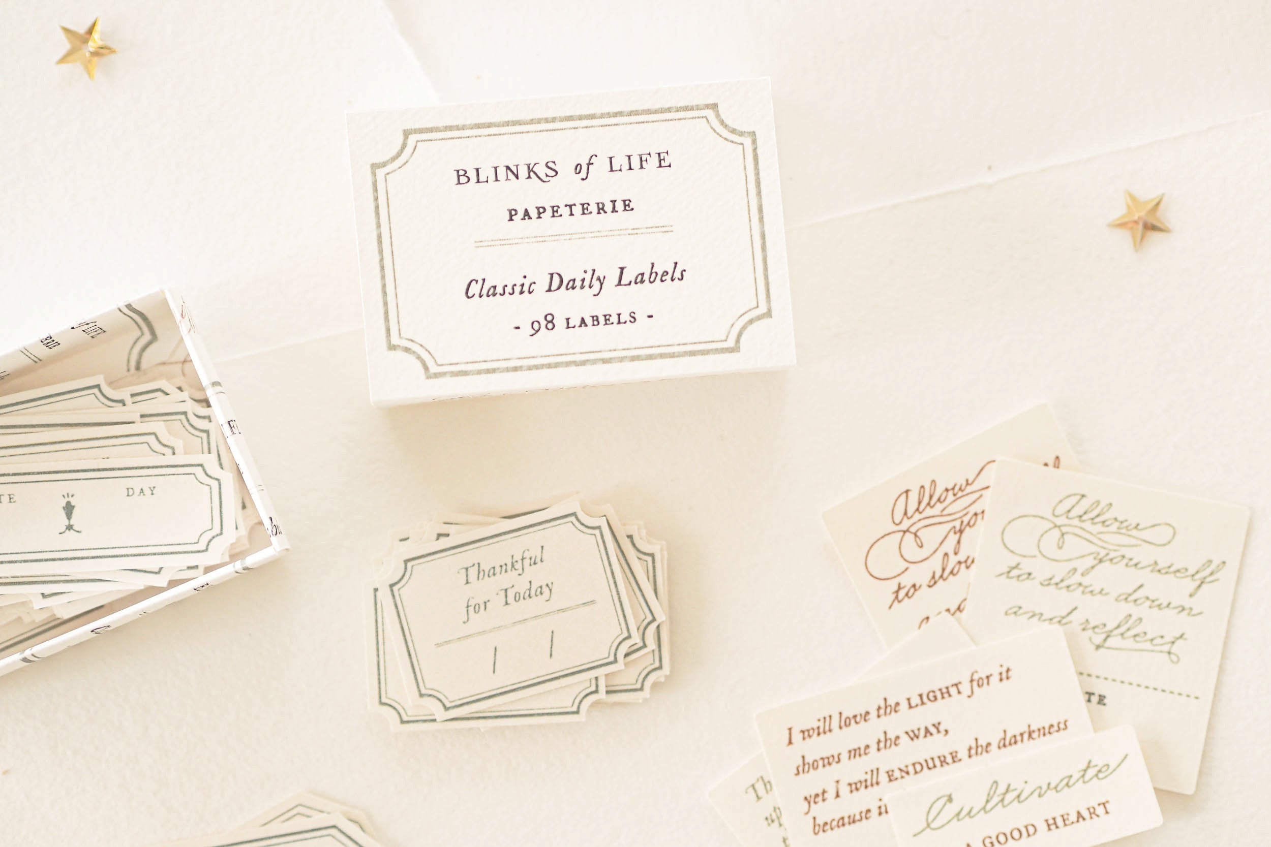 Blinks of Life - Classic Daily Labels - Sage Green