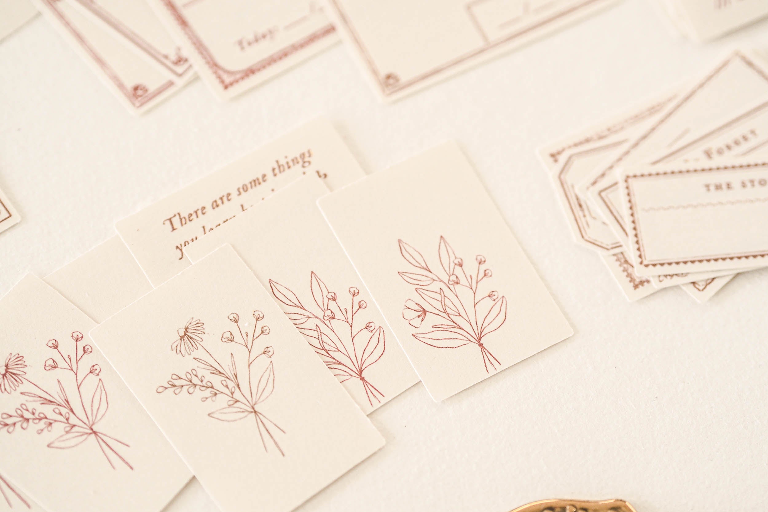 Blinks of Life - Classic Label Box Vol. II - Brown/Vintage Red