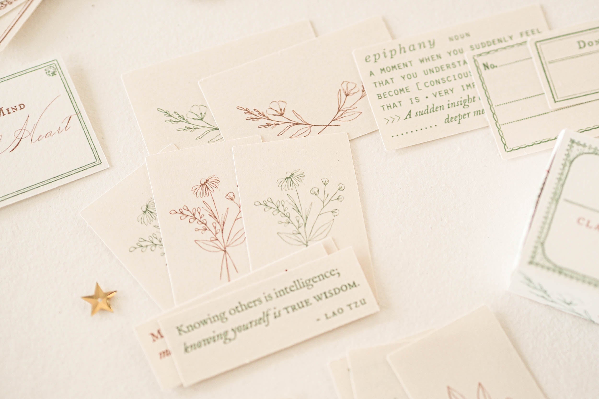 Blinks of Life - Classic Label Box Vol. II - Brown/Sage Green